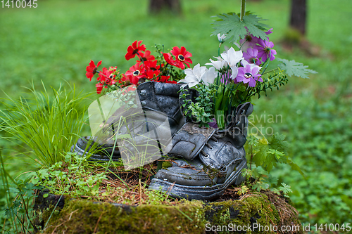 Image of Touristic boot with flowers in the forest.