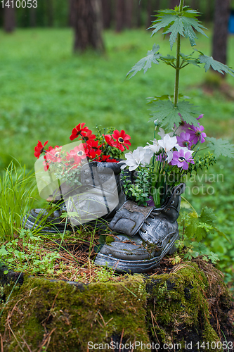 Image of Touristic boot with flowers in the forest.