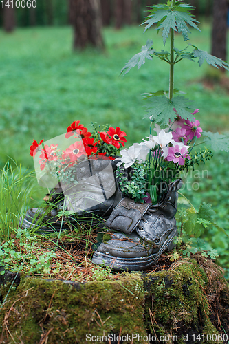 Image of Touristic boot with flowers in the forest.