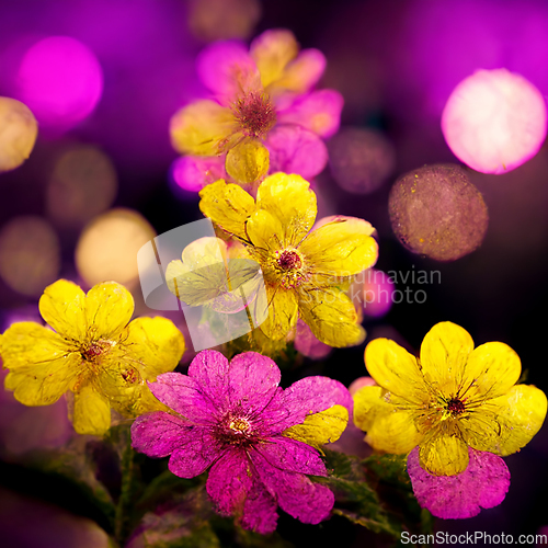 Image of Purple and yellow abstract flower Illustration.