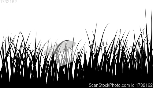 Image of Seamless Meadow Grass