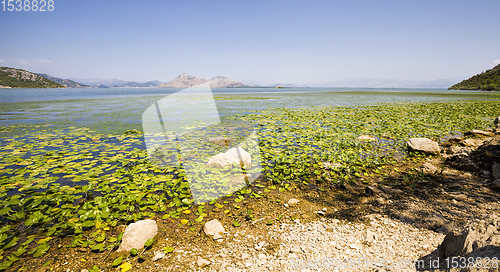 Image of a large lake