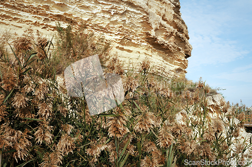 Image of Cliffs by the sea.