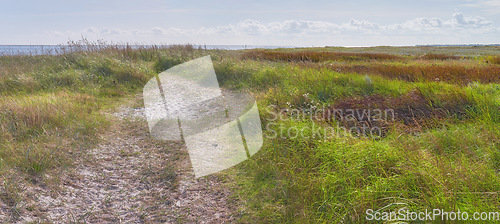 Image of Denmark nature, countryside and environment. Nature in the Kingdom of Denmark.