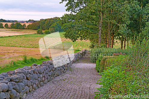 Image of Denmark nature, countryside and environment. Nature in the Kingdom of Denmark.