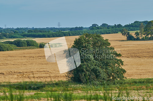 Image of Denmark nature, countryside and environment. Nature in the Kingdom of Denmark.
