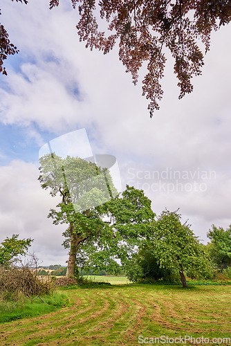 Image of Denmark nature, countryside and environment. Nature in the Kingdom of Denmark.