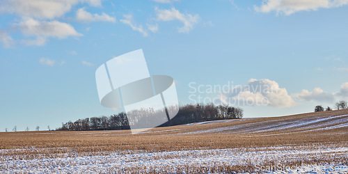 Image of Denmark nature, countryside and environment. Nature in the Kingdom of Denmark.