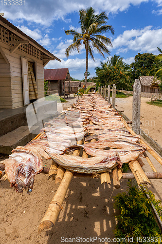 Image of Drying fish in the sun, Madagascar.