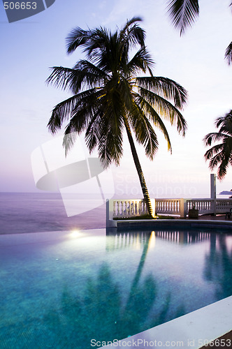 Image of luxury swimming pool with coconut tree Caribbean sea