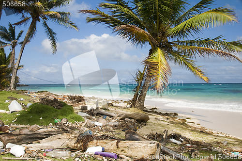 Image of sallie peachie beach litter malecon north end corn island nicara