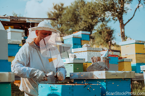 Image of Beekeeper checking honey on the beehive frame in the field. Small business owner on apiary. Natural healthy food produceris working with bees and beehives on the apiary.