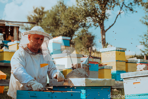 Image of Beekeeper checking honey on the beehive frame in the field. Small business owner on apiary. Natural healthy food produceris working with bees and beehives on the apiary.