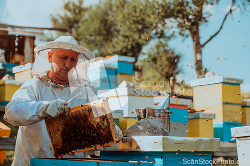 Image of Beekeeper checking honey on the beehive frame in the field. Small business owner on apiary. Natural healthy food produceris working with bees and beehives on the apiary.