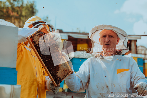 Image of Beekeepers checking honey on the beehive frame in the field. Small business owners on apiary. Natural healthy food produceris working with bees and beehives on the apiary.