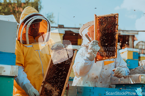 Image of Beekeepers checking honey on the beehive frame in the field. Small business owners on apiary. Natural healthy food produceris working with bees and beehives on the apiary.