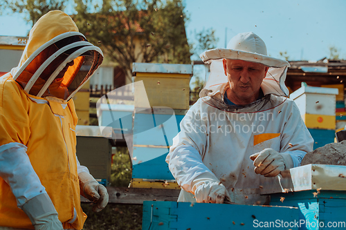 Image of Beekeepers checking honey on the beehive frame in the field. Small business owners on apiary. Natural healthy food produceris working with bees and beehives on the apiary.