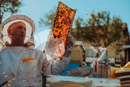 Image of Beekeepers checking honey on the beehive frame in the field. Small business owners on apiary. Natural healthy food produceris working with bees and beehives on the apiary.