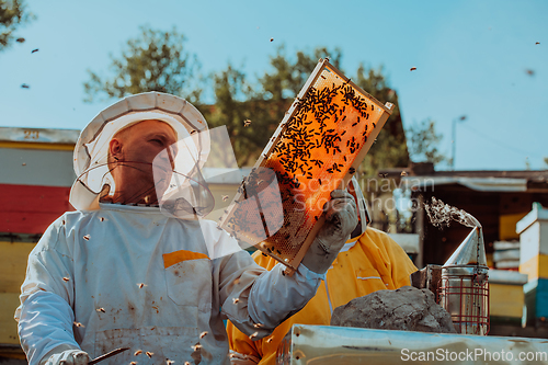 Image of Beekeepers checking honey on the beehive frame in the field. Small business owners on apiary. Natural healthy food produceris working with bees and beehives on the apiary.