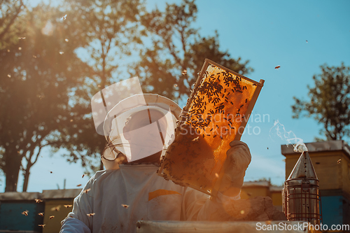 Image of Beekeeper checking honey on the beehive frame in the field. Small business owner on apiary. Natural healthy food produceris working with bees and beehives on the apiary.