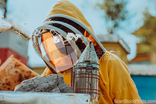 Image of Beekeeper checking honey on the beehive frame in the field. Beekeeper on apiary. Beekeeper is working with bees and beehives on the apiary.