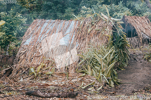 Image of Primitive fisher shed in the wood