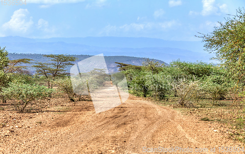 Image of savanna in the Awash National Park, Ethiopia