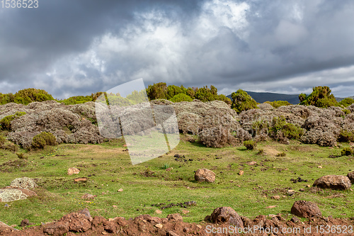 Image of beautiful landscape of Bale Mountain, Ethiopia