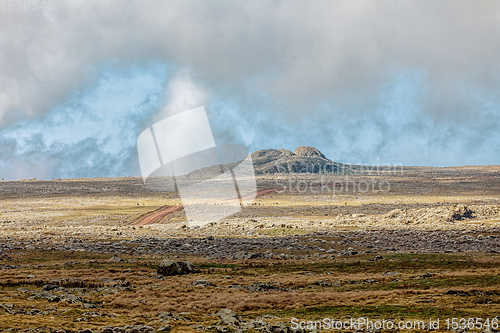 Image of beautiful landscape of Bale Mountain, Ethiopia