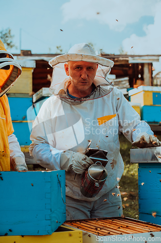 Image of Beekeepers checking honey on the beehive frame in the field. Small business owners on apiary. Natural healthy food produceris working with bees and beehives on the apiary.