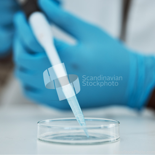 Image of Science, pipette and closeup with a person in a laboratory to research the development of a vaccine. Healthcare, medical and innovation with a scientist at work in a lab for breakthrough treatment
