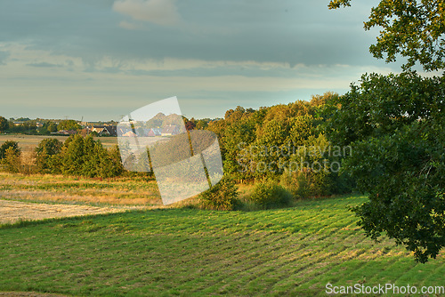 Image of Denmark nature, countryside and environment. Nature in the Kingdom of Denmark.