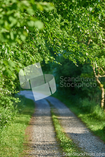 Image of Denmark nature, countryside and environment. Nature in the Kingdom of Denmark.