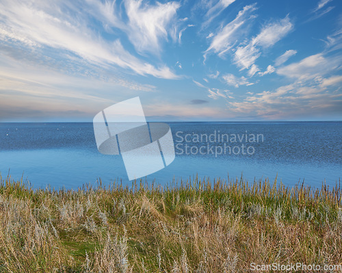 Image of Denmark nature, countryside and environment. Nature in the Kingdom of Denmark.