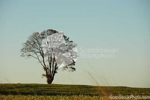 Image of Denmark nature, countryside and environment. Nature in the Kingdom of Denmark.