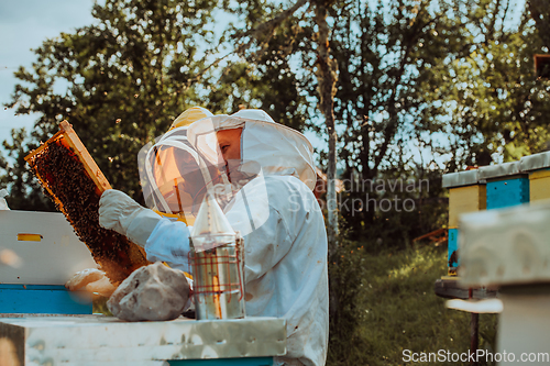 Image of Beekeepers checking honey on the beehive frame in the field. Small business owners on apiary. Natural healthy food produceris working with bees and beehives on the apiary.