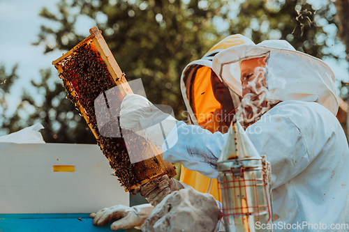 Image of Beekeepers checking honey on the beehive frame in the field. Small business owners on apiary. Natural healthy food produceris working with bees and beehives on the apiary.