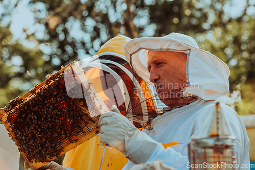 Image of Beekeepers checking honey on the beehive frame in the field. Small business owners on apiary. Natural healthy food produceris working with bees and beehives on the apiary.