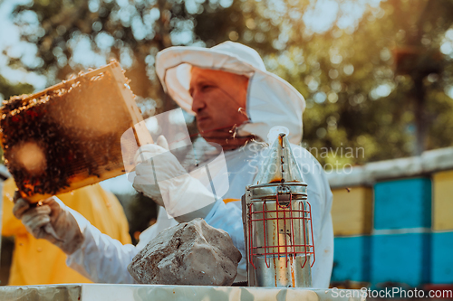 Image of Beekeeper checking honey on the beehive frame in the field. Beekeeper on apiary. Beekeeper is working with bees and beehives on the apiary.