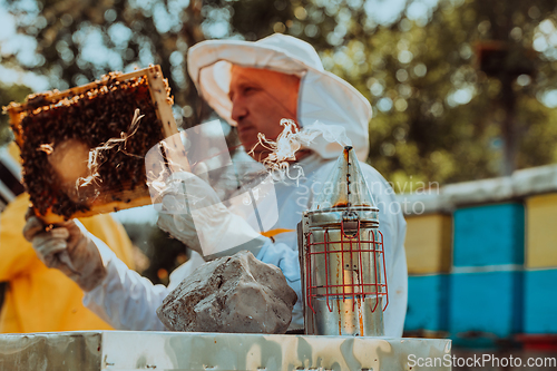 Image of Beekeeper checking honey on the beehive frame in the field. Beekeeper on apiary. Beekeeper is working with bees and beehives on the apiary.