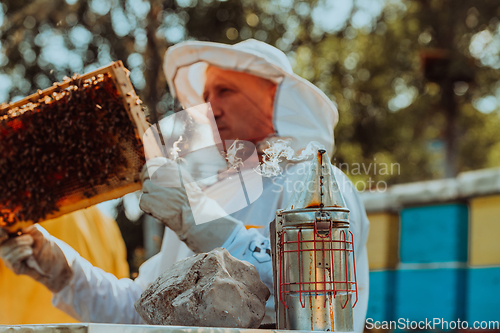 Image of Beekeeper checking honey on the beehive frame in the field. Beekeeper on apiary. Beekeeper is working with bees and beehives on the apiary.