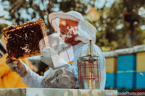 Image of Beekeeper checking honey on the beehive frame in the field. Beekeeper on apiary. Beekeeper is working with bees and beehives on the apiary.