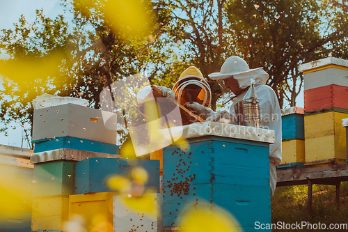 Image of Beekeepers checking honey on the beehive frame in the field. Small business owners on apiary. Natural healthy food produceris working with bees and beehives on the apiary.