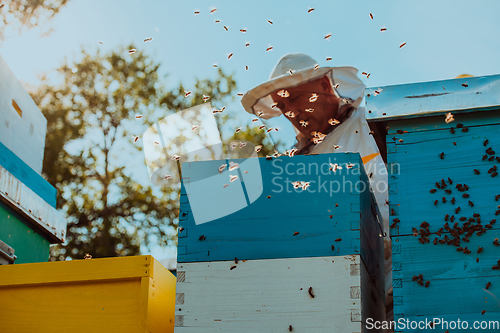 Image of Beekeeper checking honey on the beehive frame in the field. Natural healthy food produceron apiary. Small business owneris working with bees and beehives on the apiary.