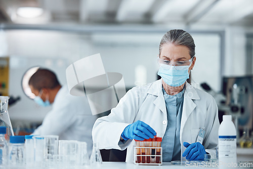 Image of Woman, blood sample or scientist with research in a science laboratory for medical analysis or innovation. Face mask, medicine development or researcher studying test of DNA or virus in vial tube