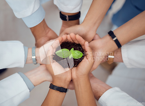 Image of Hands, support or doctors with plant for teamwork or growth research with mission or unity in hospital. Group, nurse and top view of leaf seedling with soil for solidarity, healthcare or wellness