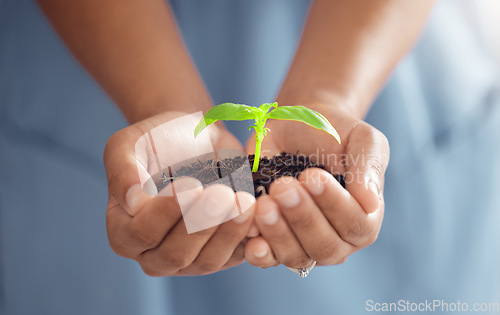 Image of Hands, person and plants for growth in world, future sustainability and climate change. Closeup of leaf in soil for hope, global environment and support of nature, sustainable planet or ngo volunteer