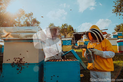 Image of Beekeepers checking honey on the beehive frame in the field. Small business owners on apiary. Natural healthy food produceris working with bees and beehives on the apiary.