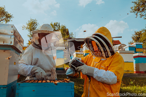 Image of Beekeepers checking honey on the beehive frame in the field. Small business owners on apiary. Natural healthy food produceris working with bees and beehives on the apiary.