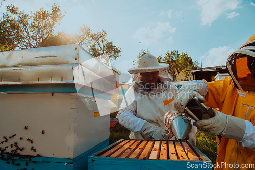 Image of Beekeepers checking honey on the beehive frame in the field. Small business owners on apiary. Natural healthy food produceris working with bees and beehives on the apiary.